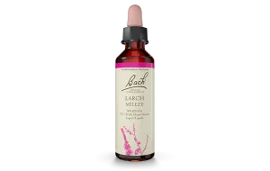 Bach Larch (20ml)