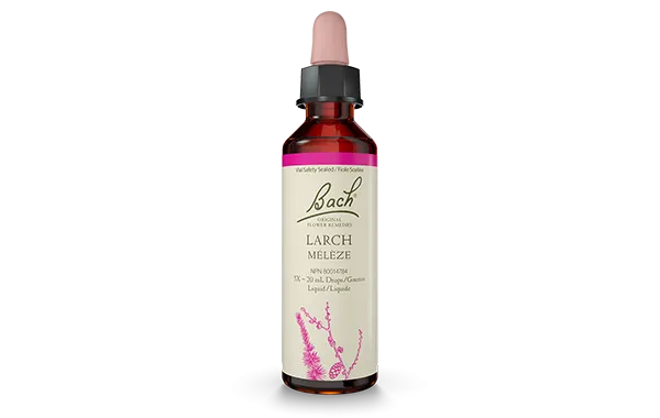 Bach Larch (20ml)