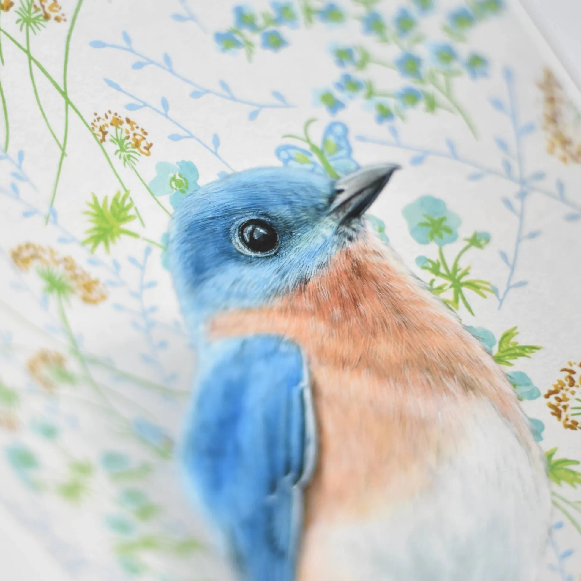 Bluebird Illustration - Fine Art Print