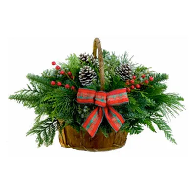 Noble Fir Bark Basket 10" x 15"