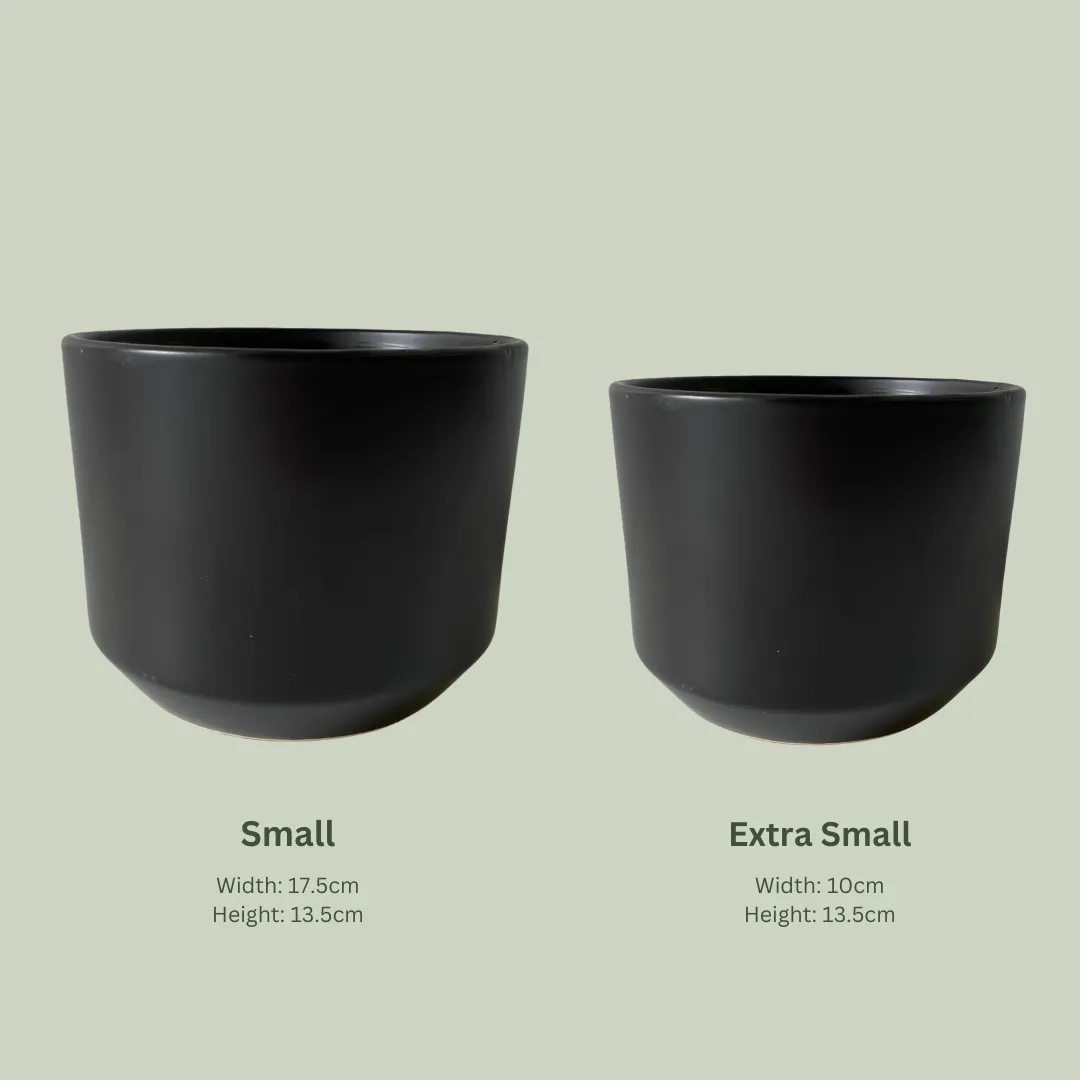 Sansa Pot | Black